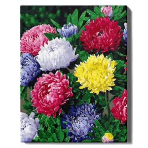 Värvilised asters